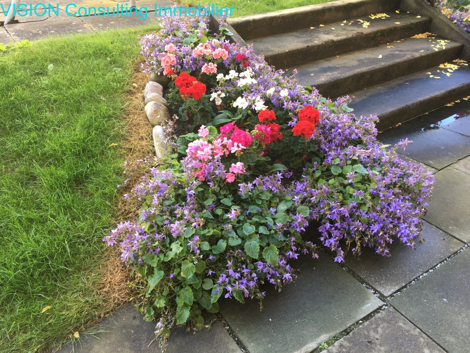 Renditeobjekt - Wohnung Zentrumslage