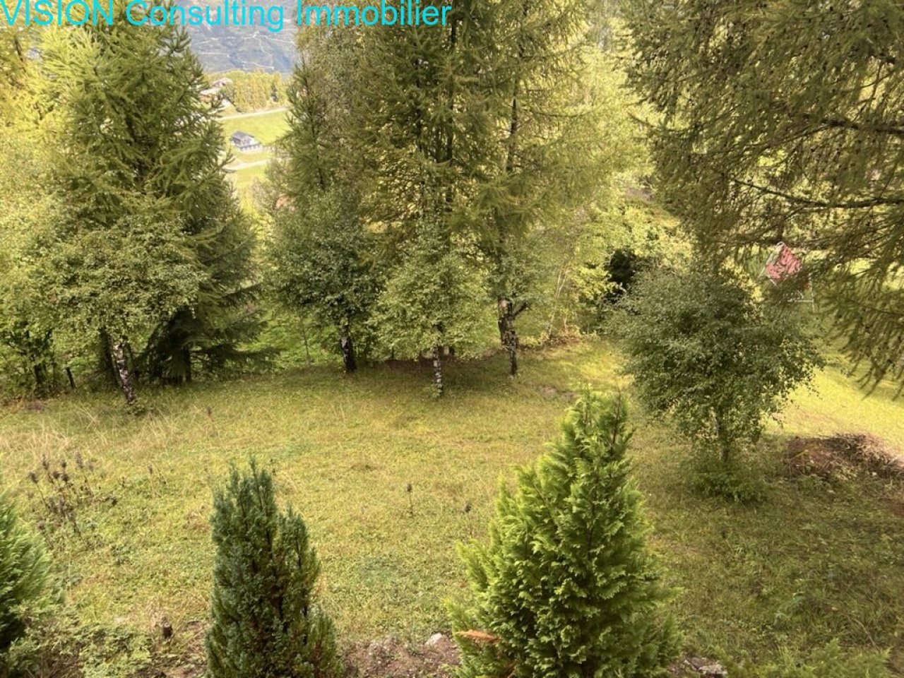 Terrasse couverte avec vue sur la montagne et rambarde en bois massif
